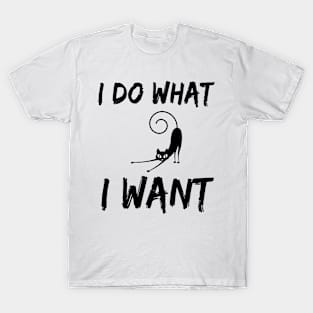 i do what i want T-Shirt